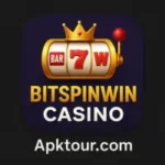 BitSpinWin Casino